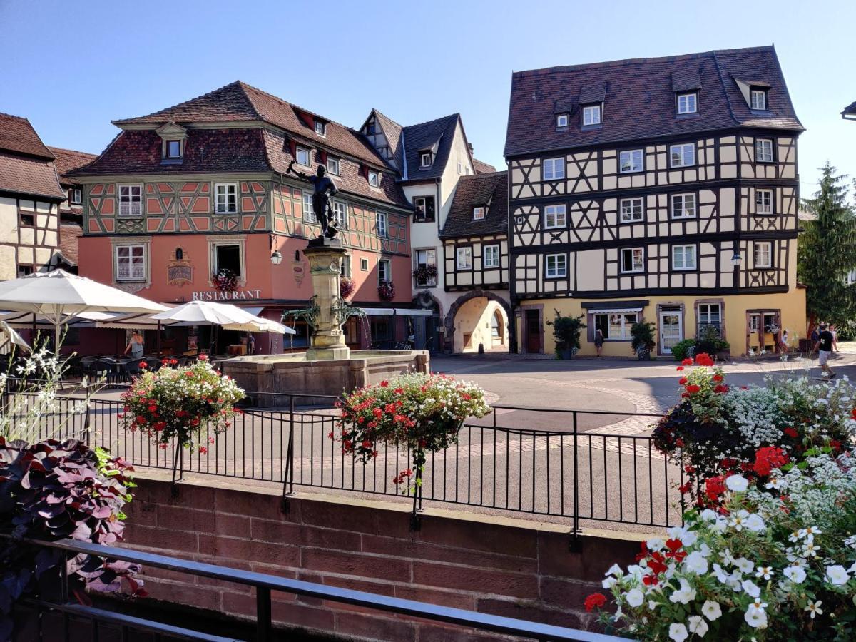 Au Bretzel Dore - Centre Historique Colmar Luaran gambar